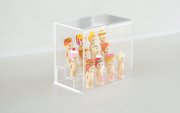 Acrylic Display Case O4