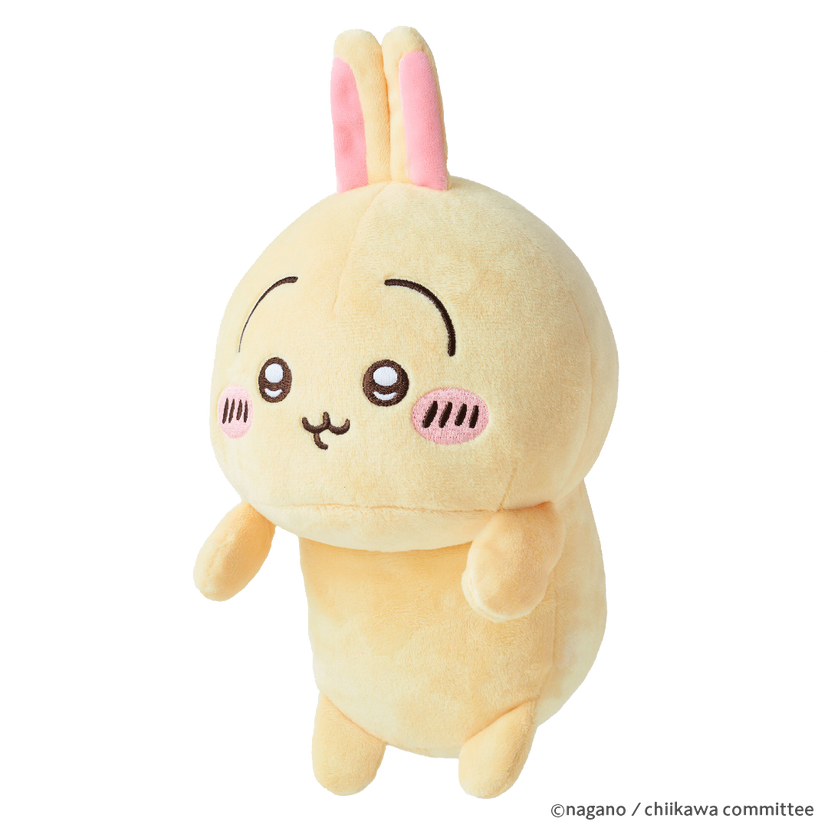 Posture Pal - CHiiKAWA X9
