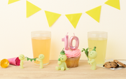 SMISKI Birthday Series Z6