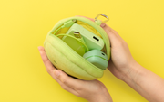 SMISKI Cushion Pouch G3