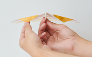 Papillon Origami Airplanes D8
