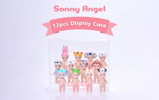 Acrylic Display Case O4