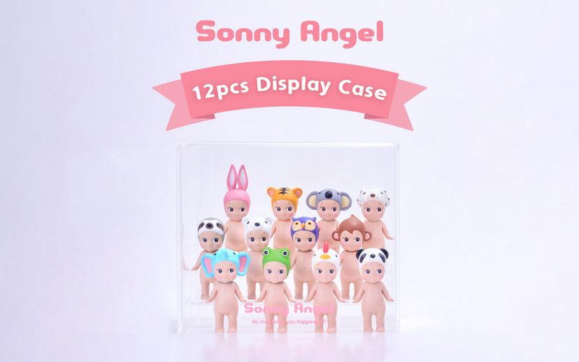 Acrylic Display Case O4