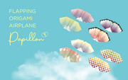 Papillon Origami Airplanes D8