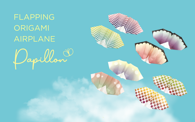 Papillon Origami Airplanes D8