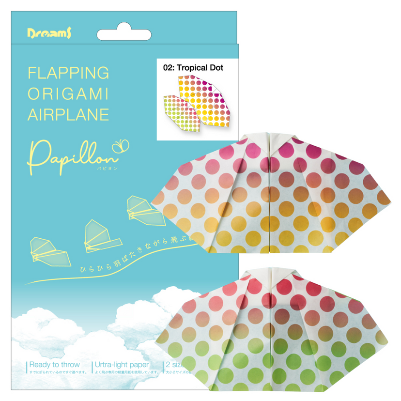 Papillon Origami Airplanes D8