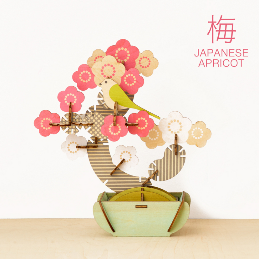 Play Plants Bonsai Puzzles A7